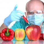 GMO – salakaval vaenlane meie toidulaual